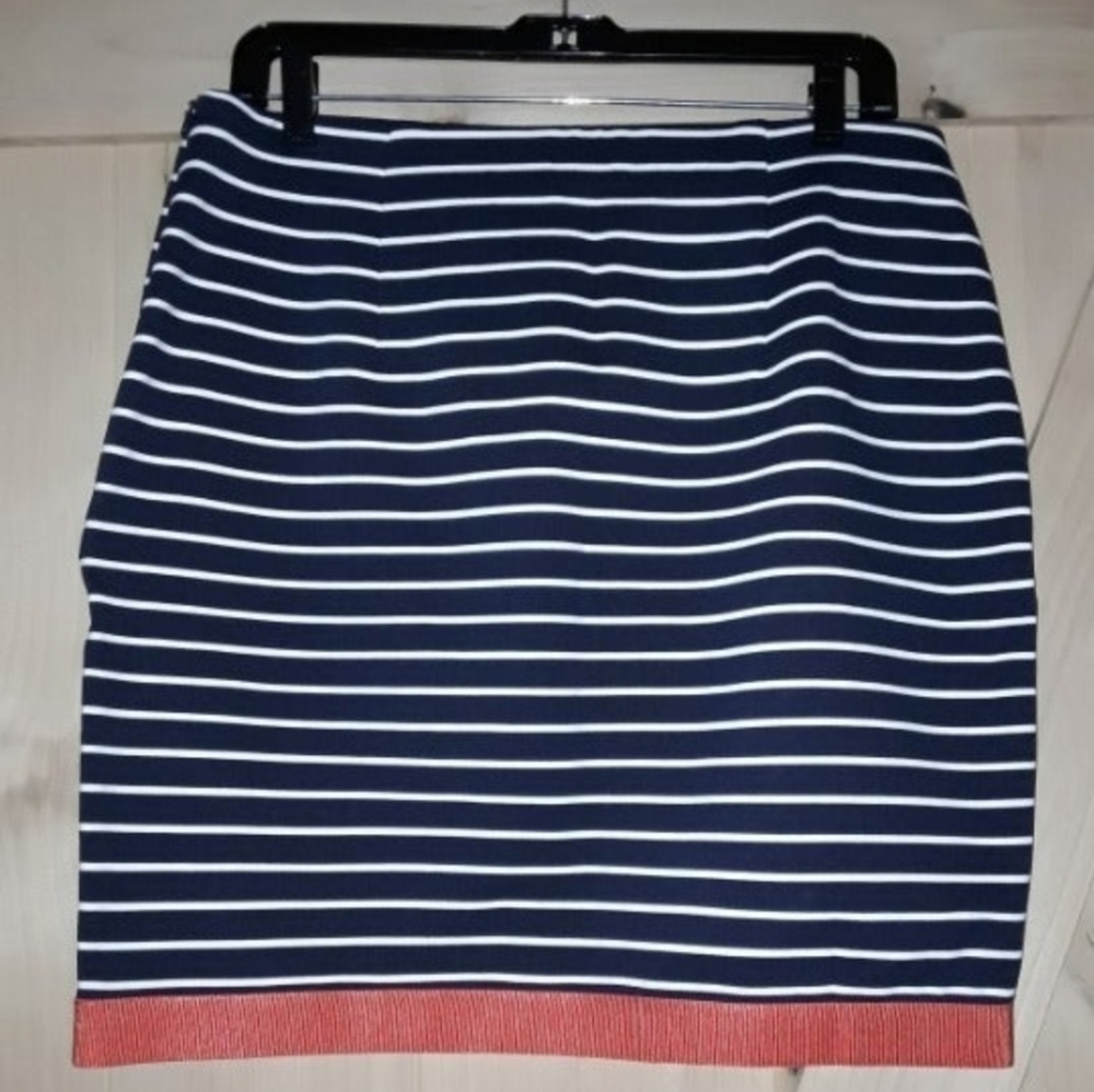 Ann Taylor Striped Skirt